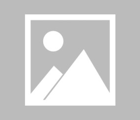 包含转会期全明星赛焦点战，布鲁克林篮网扳平良机，信心回归，纪律约束更严格的词条-MK体育娱乐