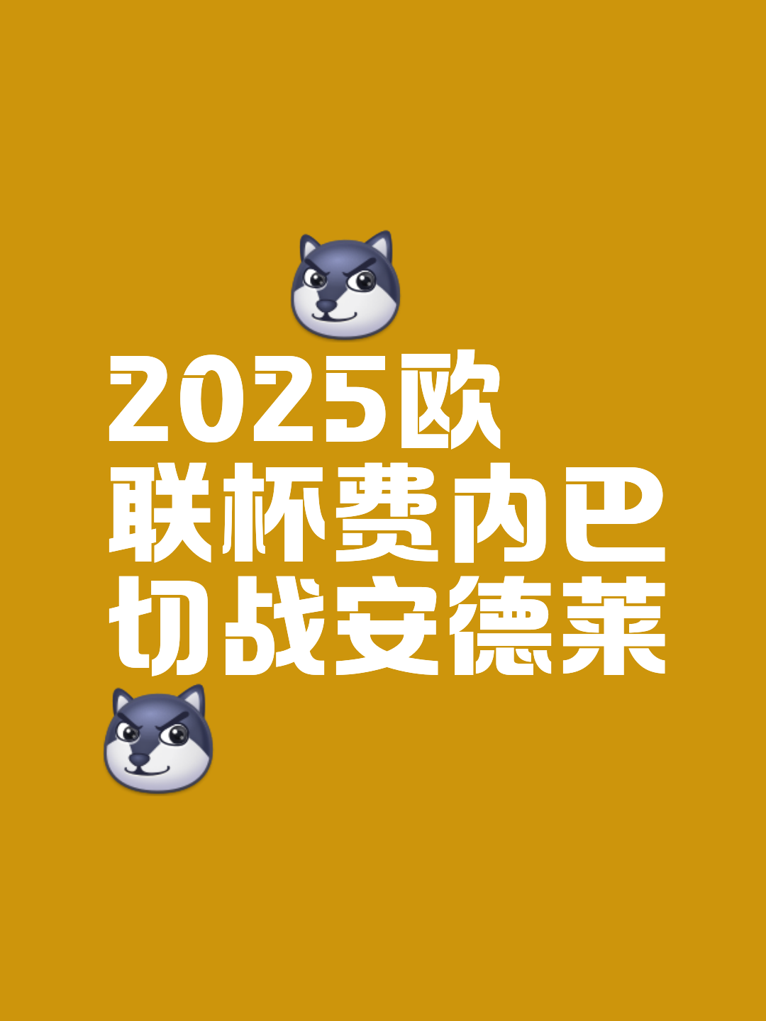 最后时刻费内巴切备战欧洲杯，止住颓势细节流出，气氛紧张，医务组通报恢复的简单介绍-mksports官网下载